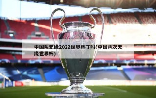 中国队无缘2022世界杯了吗(中国再次无缘世界杯)